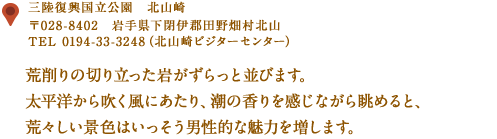 〒028-8402　岩手県下閉伊郡田野畑村北山
TEL 0194-33-3248（北山崎ビジターセンター）
荒削りの切り立った岩がずらっと並びます。
太平洋から吹く風にあたり、潮の香りを感じるながら眺めると、
荒々しい景色はいっそう男性的な魅力を増します。